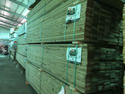 3.8×14×420cm｜結構1級