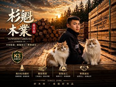 南方松|3.8×14×420cm｜結構1級無閃皮