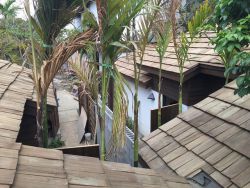 美西側柏木瓦片（香杉木瓦片）#1級｜3/4