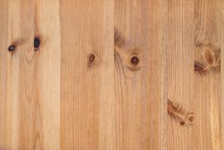 15×10cm）× 12尺｜毛料｜最高等級原始林